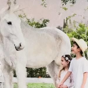 Meet your Posher, Michele